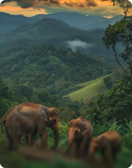 SRI LANKA - The Pearl of the Indian Ocean